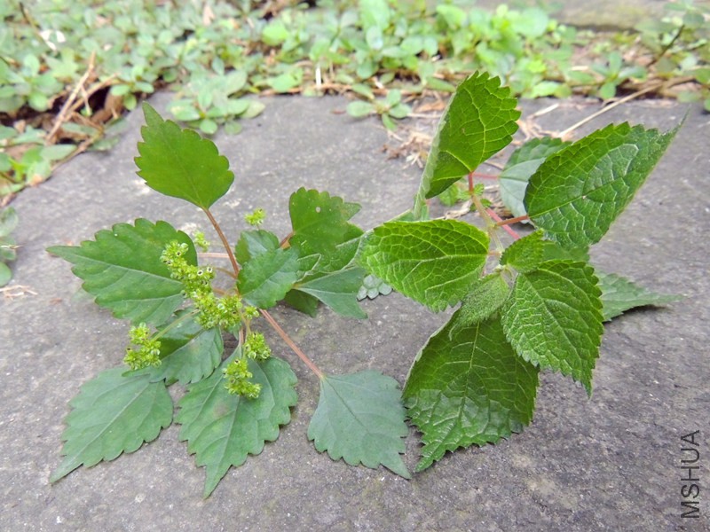 DSCN8765.JPG