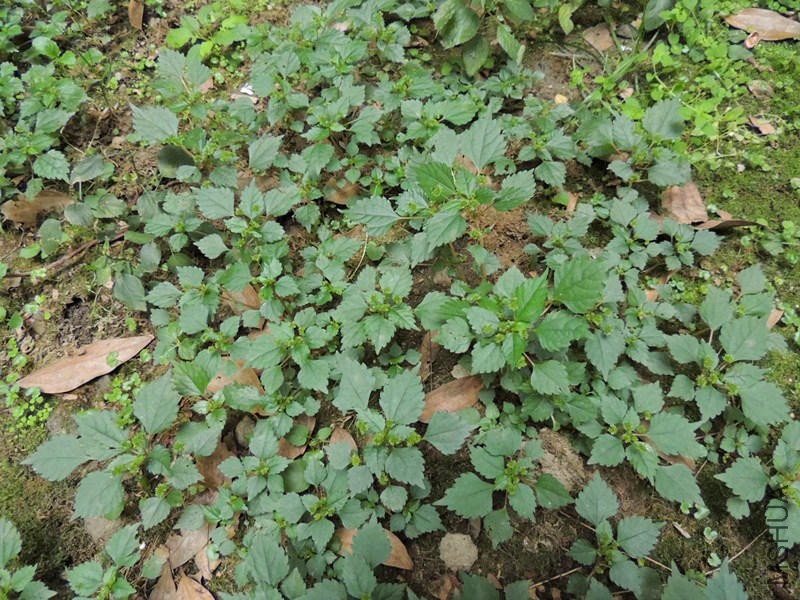 DSCN8763.JPG