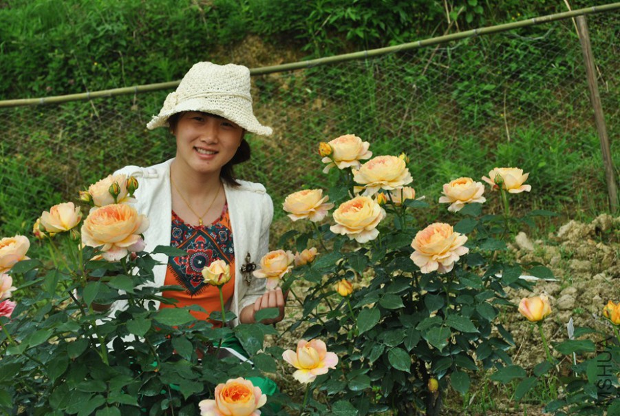 ���ǹŶ� (15).jpg