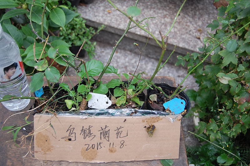 DSC_95810114.JPG