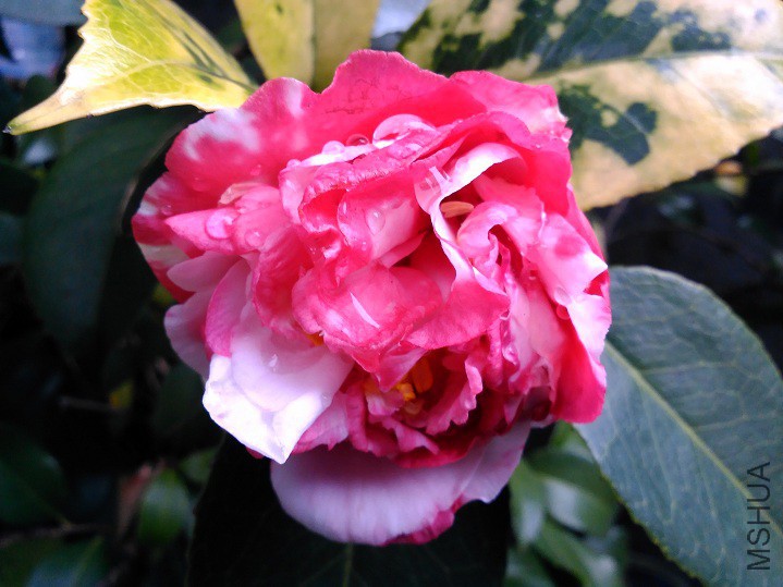 ���Ķ� (2).jpg