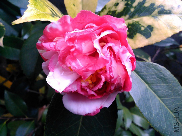 ���Ķ� (3).jpg