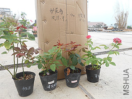 DSCN3792.jpg