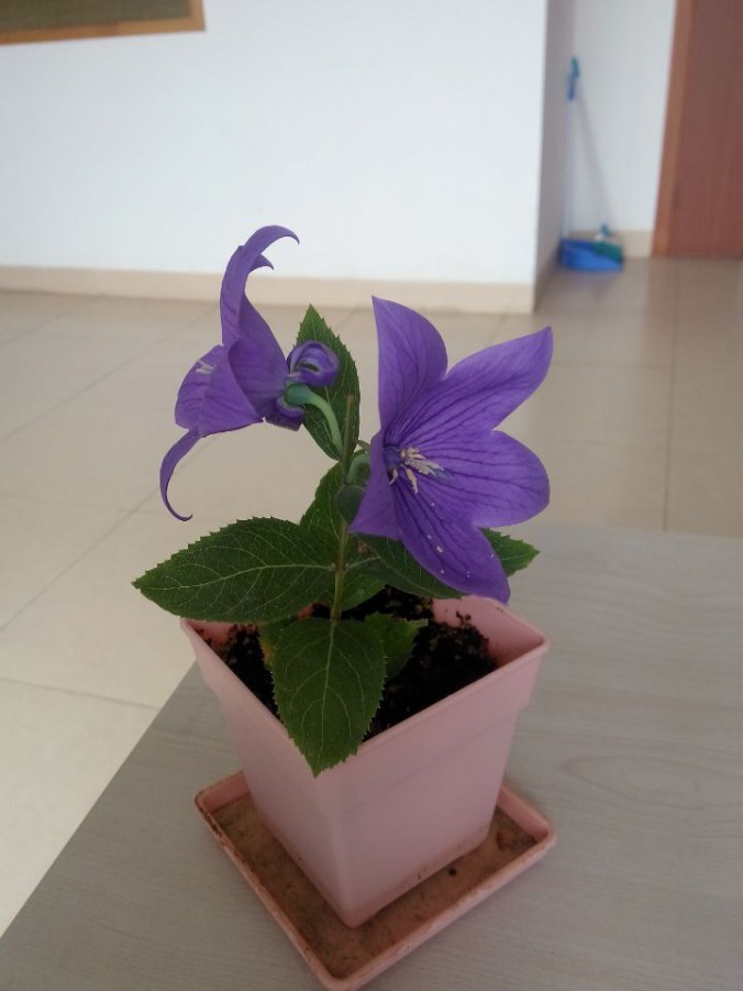 QQͼƬ20151109154517.jpg