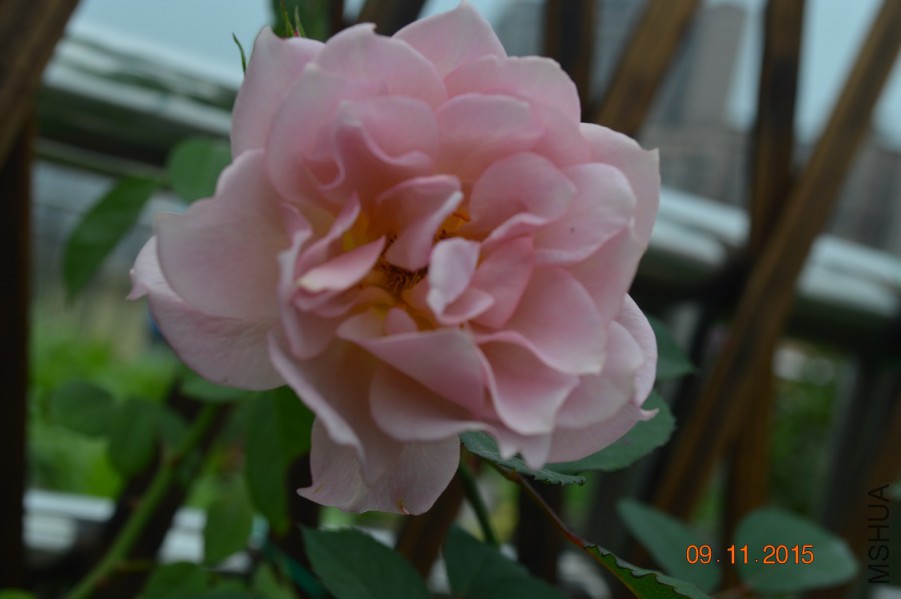 DSC_0034.JPG