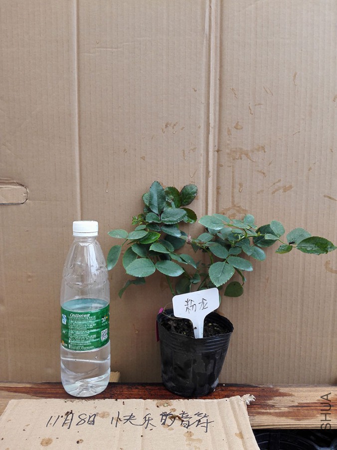 ����.jpg