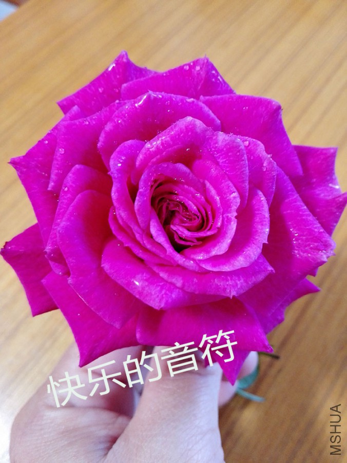 IMG_20151107_101948.jpg