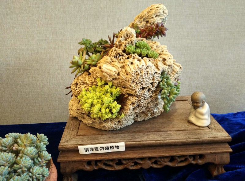 IMG_20151108_112232_HDR.jpg