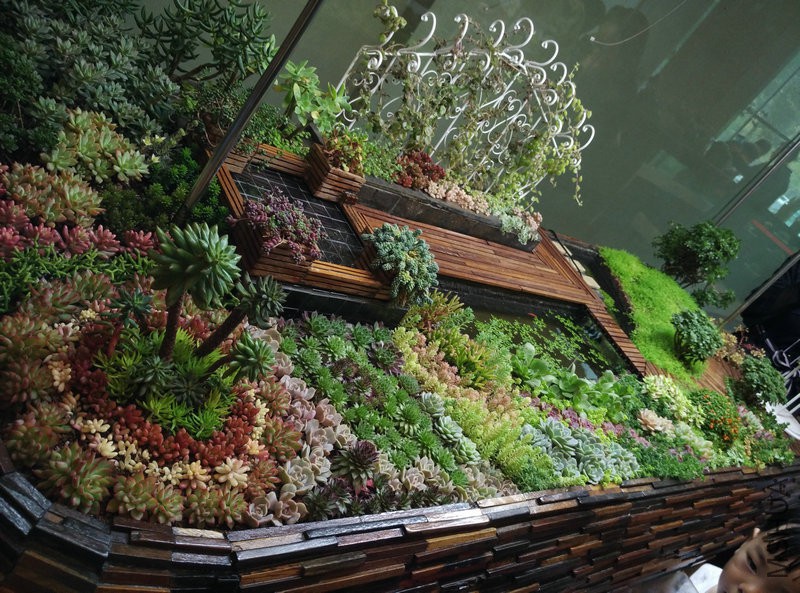 IMG_20151108_112802.jpg