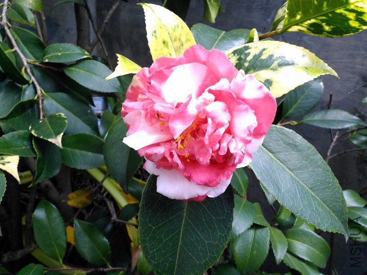 ���Ķ� (4).jpg