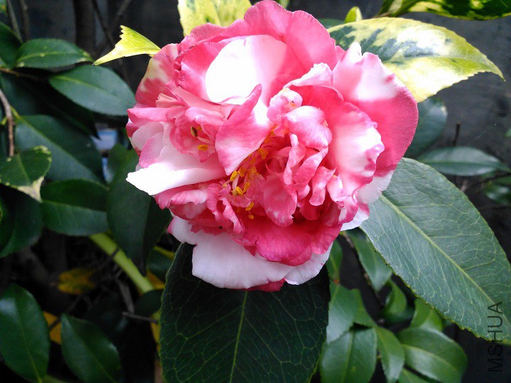 ���Ķ� (5).jpg