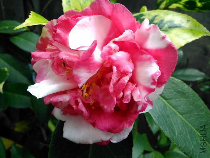 ���Ķ� (6).jpg