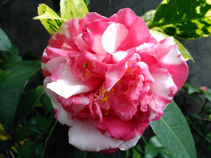 ���Ķ� (7).jpg