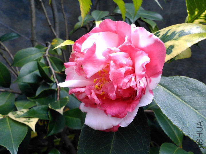 ���Ķ� (8).jpg