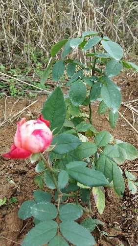20151109_115417.jpg