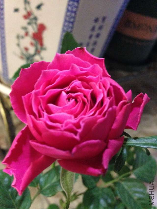 QQͼƬ20151111182234.jpg