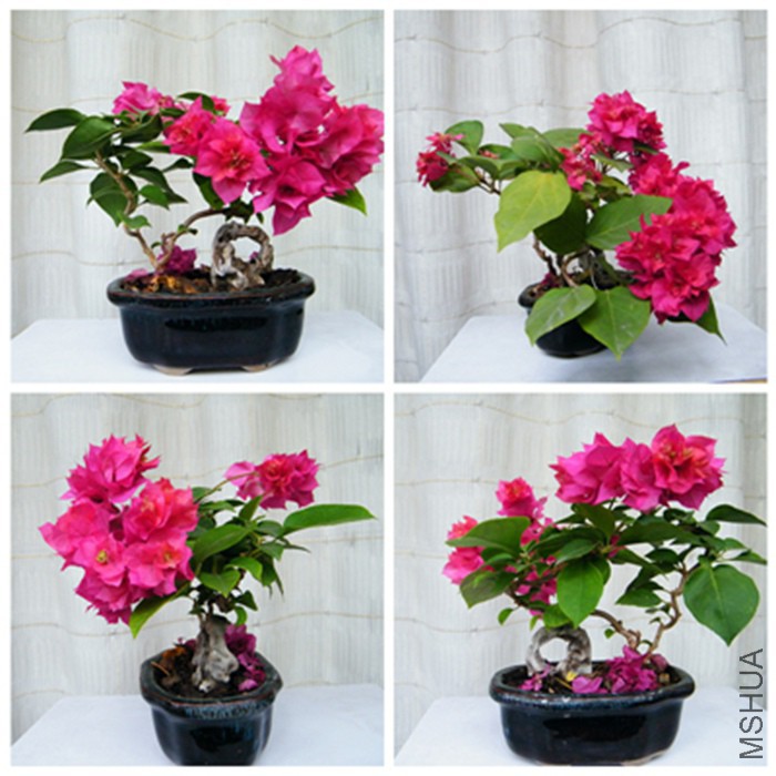 00002 100616���������� ����ӳ����.jpg