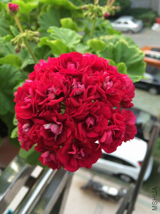 ������С IMG_0309.jpg