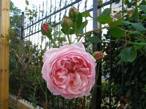 PB026823.JPG