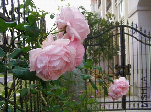 PB106846.JPG