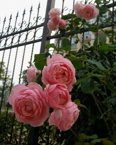 PB106857.JPG