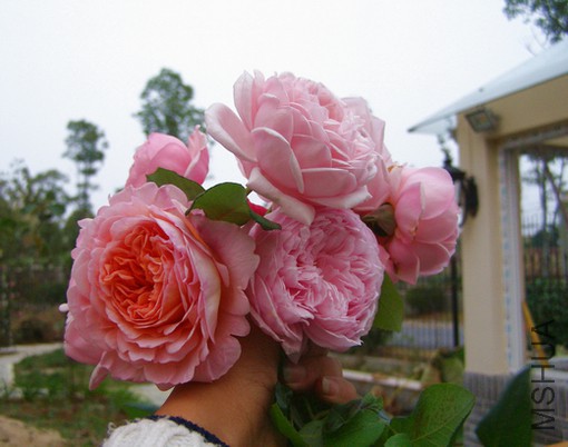 PB106874.JPG