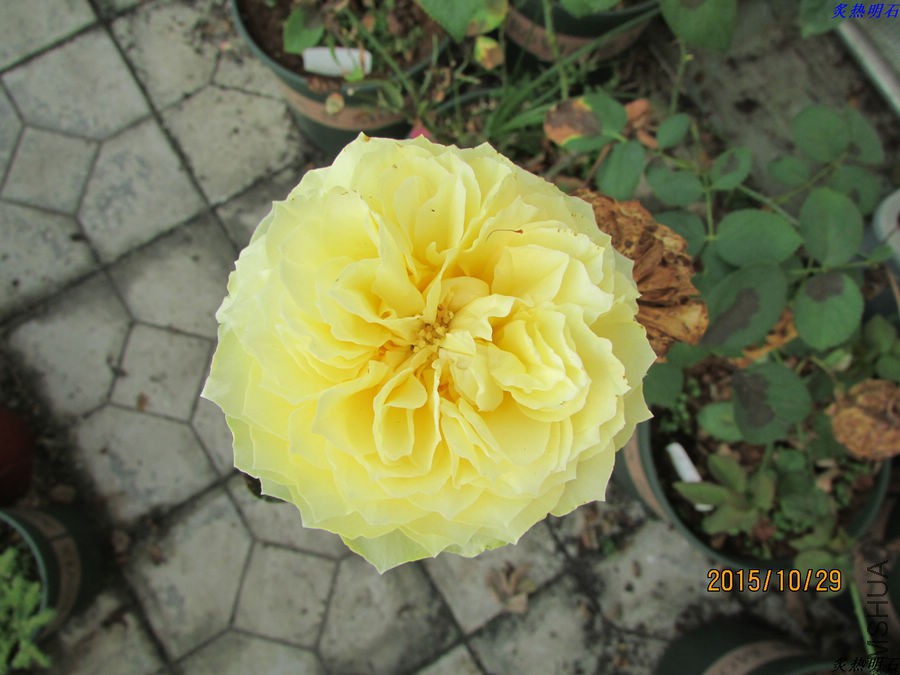 IMG_1322_nEO_IMG.jpg
