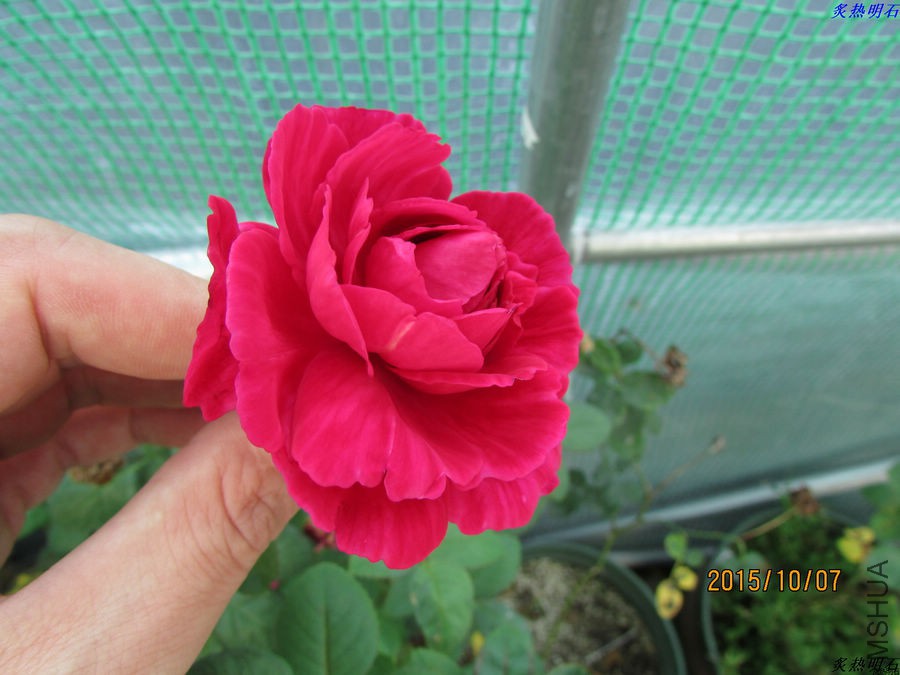 IMG_0840_nEO_IMG.jpg