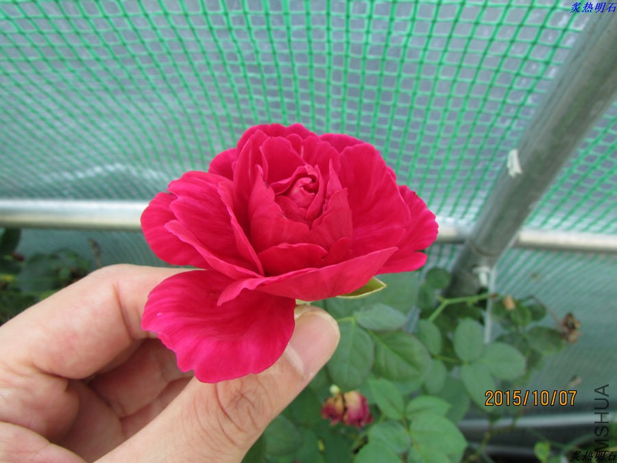 IMG_0841_nEO_IMG.jpg