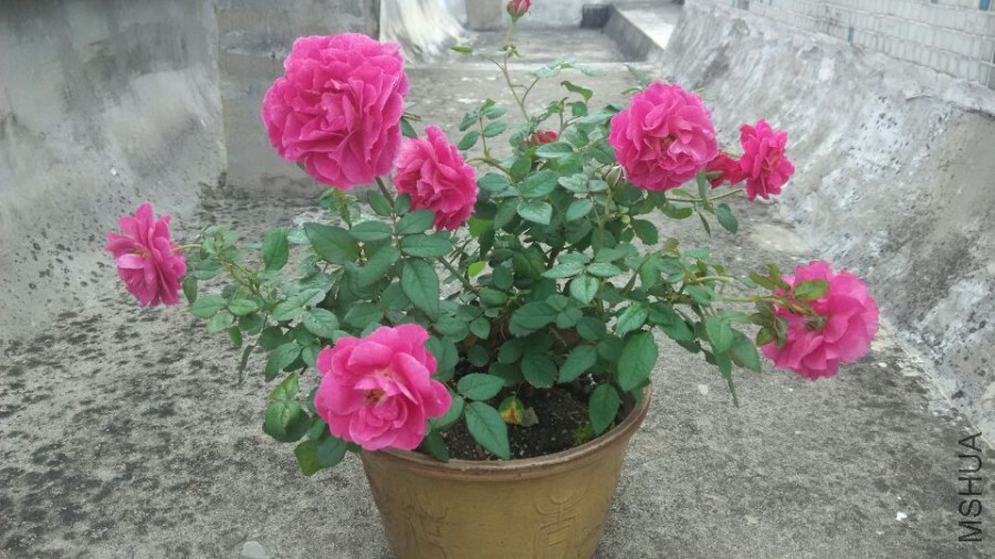 QQͼƬ20151113153429.jpg