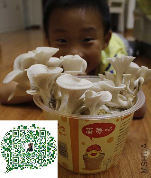 QQ:2044361944��΢�ţ�tatata58