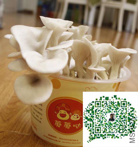 QQ:2044361944��΢�ţ�tatata58
