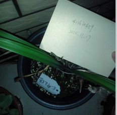 ����ݣ�����֮ͽ35Ԫ