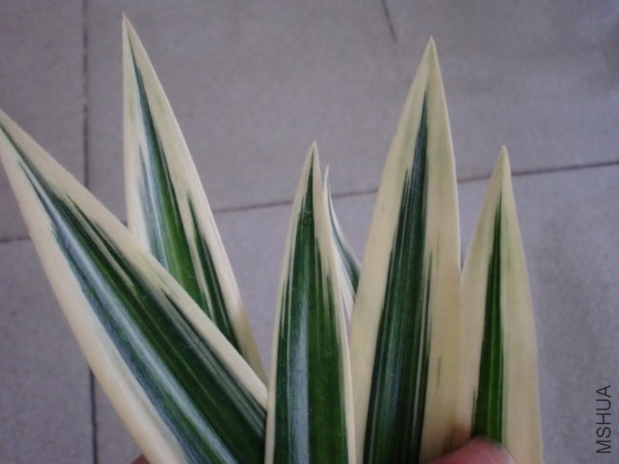 20111022105021_a9bd1863.jpg