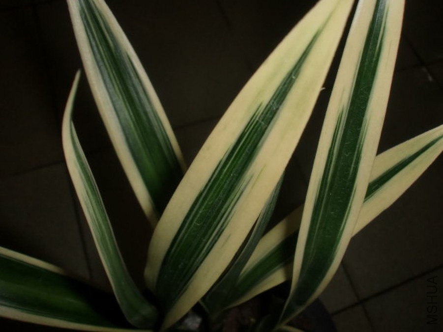 20111022105047_f9be675d.jpg