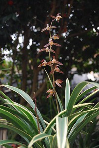 2011313195212_e394d7db.jpg