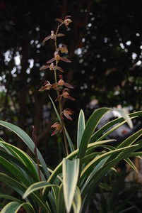 2011313195224_7bc0f6b5.jpg