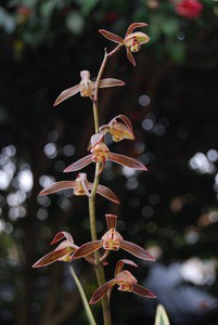 2011313195238_a1422056.jpg