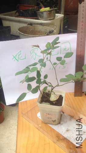 ��֮ˮ��