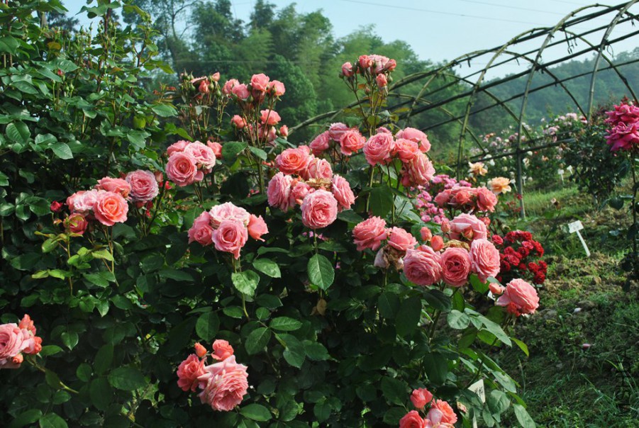 ¬�װ���ѧԺ (1).jpg