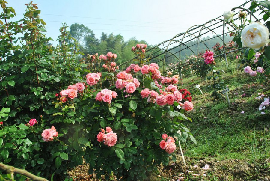 ¬�װ���ѧԺ (2).jpg