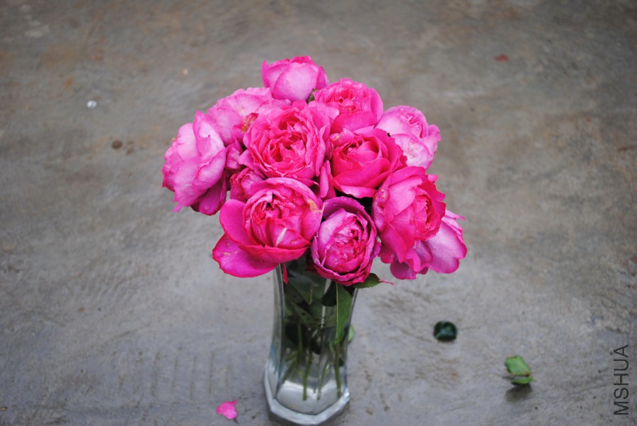 ��ܽ����һ��1 (2).jpg