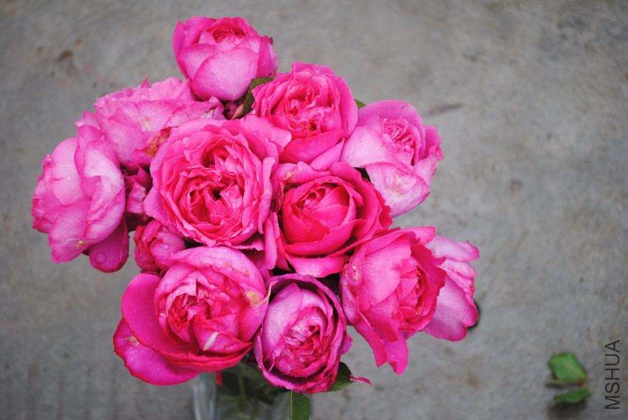 ��ܽ����һ��1 (1).jpg