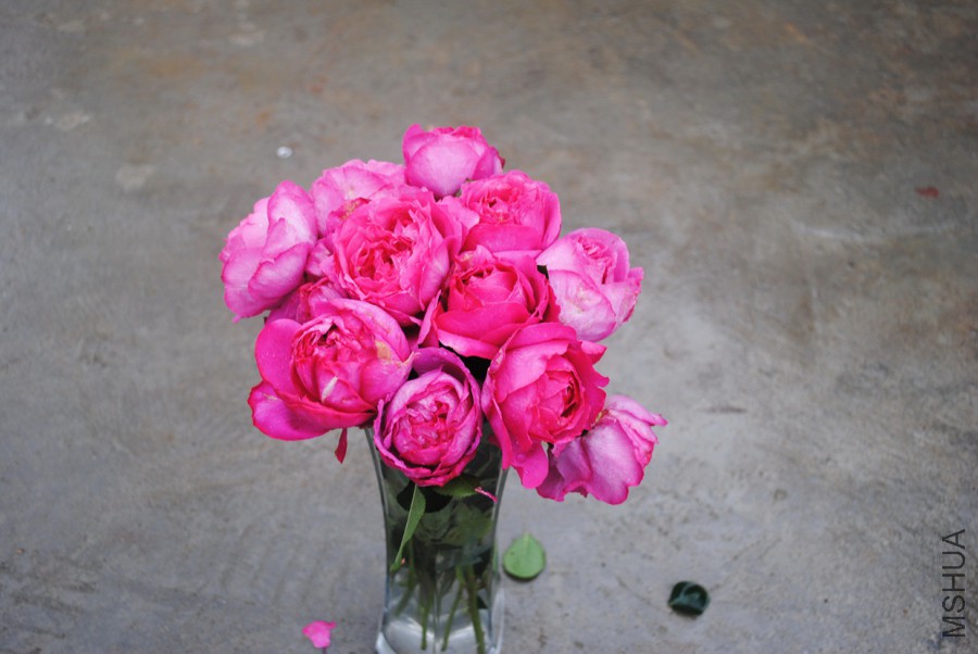 ��ܽ����һ��1 (3).jpg