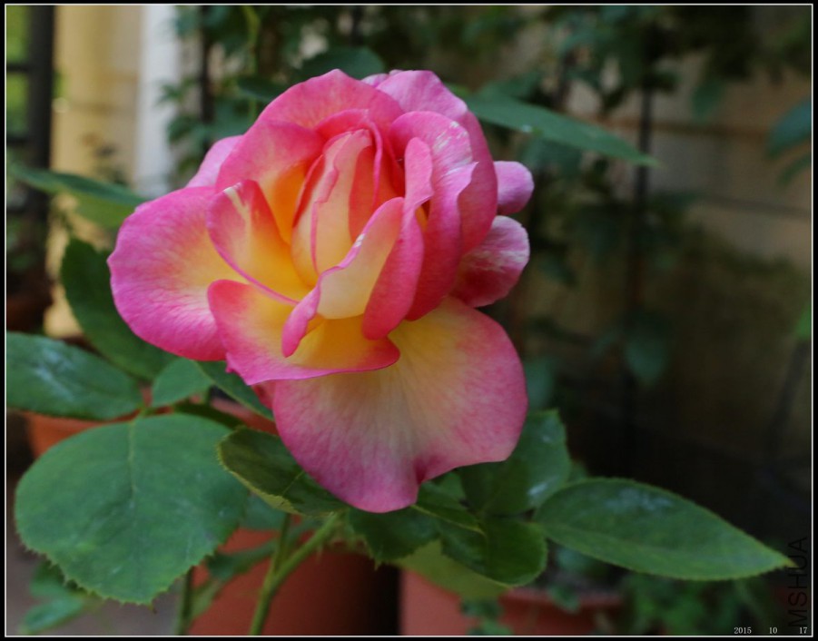 2015101701.jpg