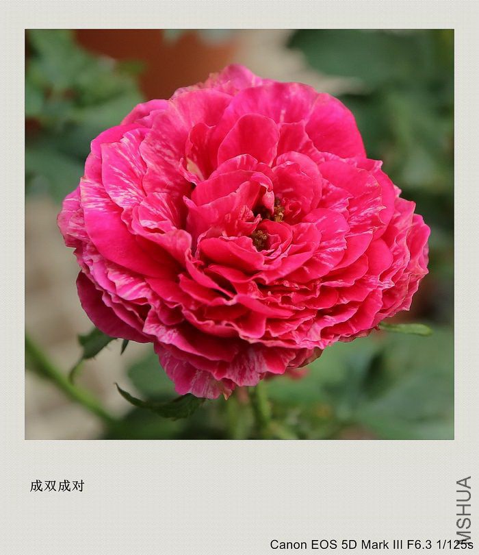 2015111507.jpg