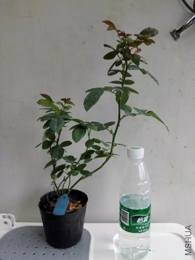 ŵ��.jpg