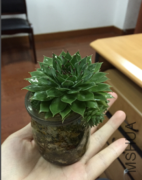 QQ��ͼ20151116164509.png