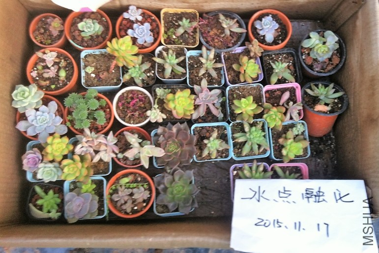 ����10Ԫ4�費���������ظ�.jpg