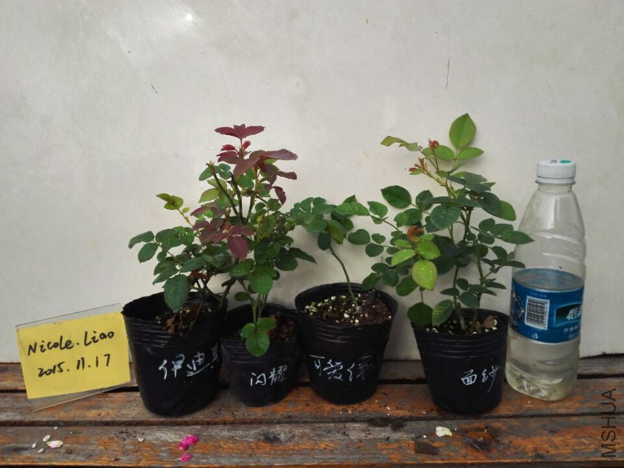 QQͼƬ20151117090318.jpg